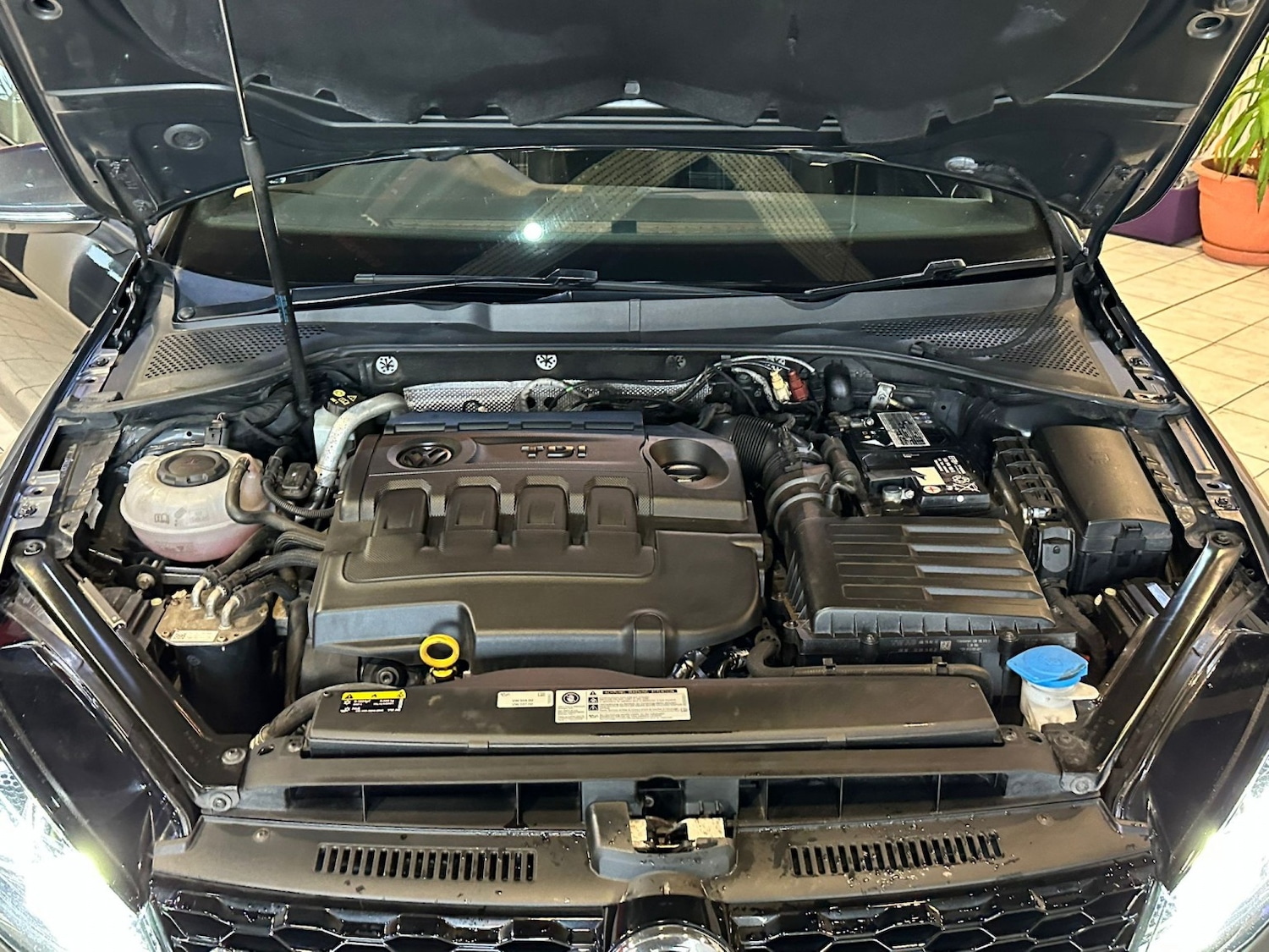 Used Volkswagen Golf 2019 for sale - 77251237: Photo 29