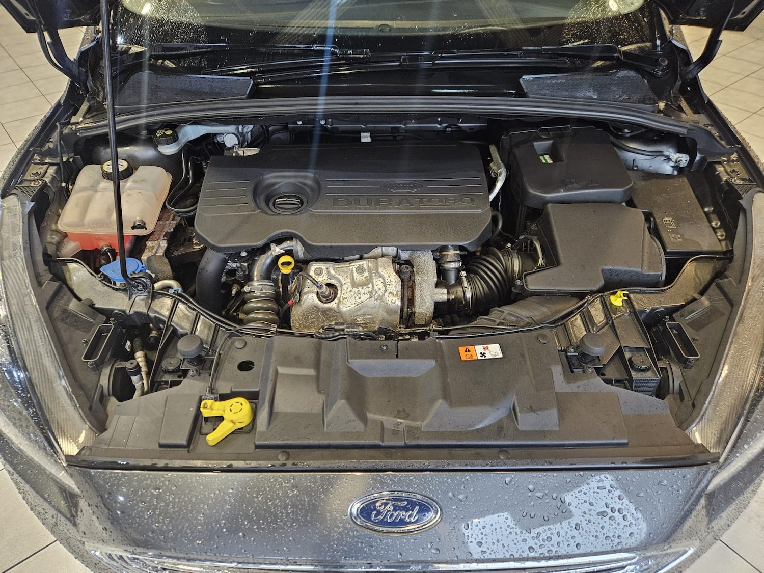 Used Ford Focus 2016 for sale - 76547926: Photo 20