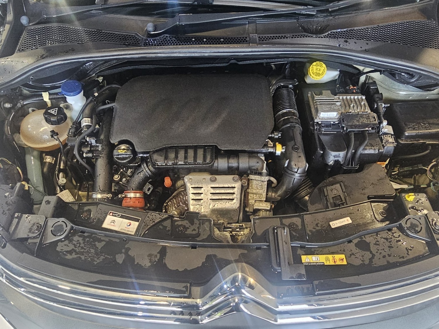 Used Citroen C3 2017 for sale - 76756996: Photo 20