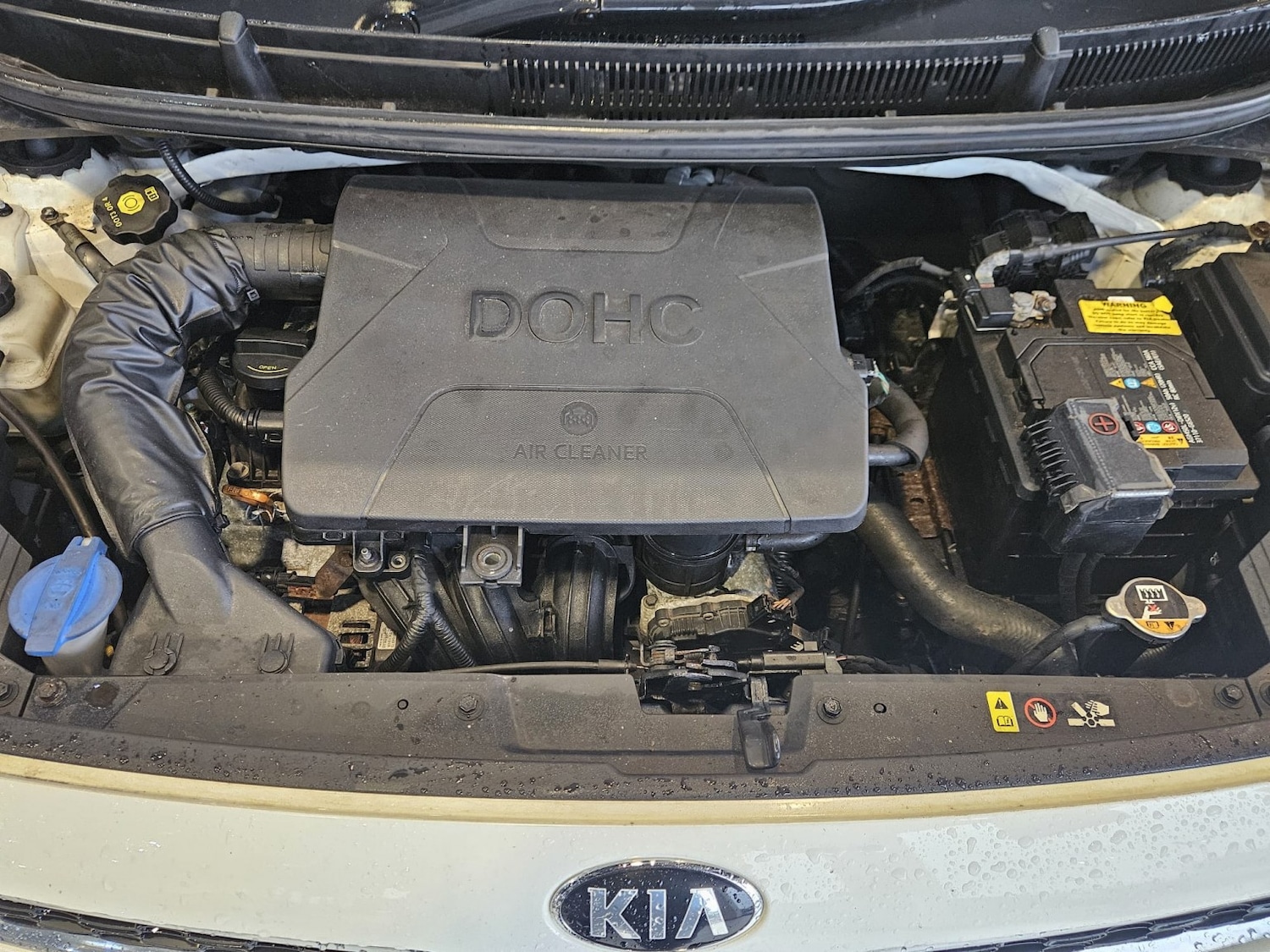 Used Kia Picanto 2020 for sale - 77282715: Photo 20