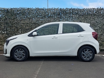 Used Kia Picanto 2025 for sale - 78560365: Photo