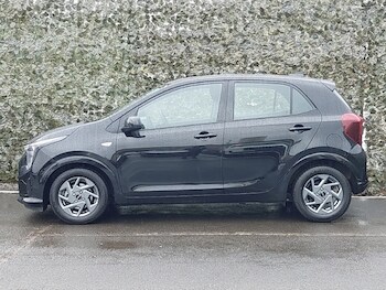 Used Kia Picanto 2025 for sale - 77518370: Photo