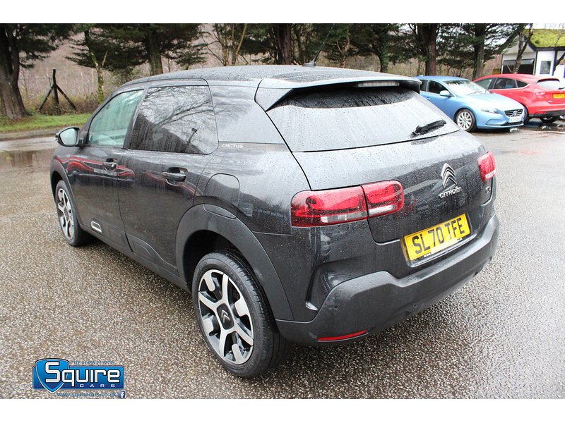 Used Citroen C4 Cactus 2020 for sale - 77632264: Photo 3