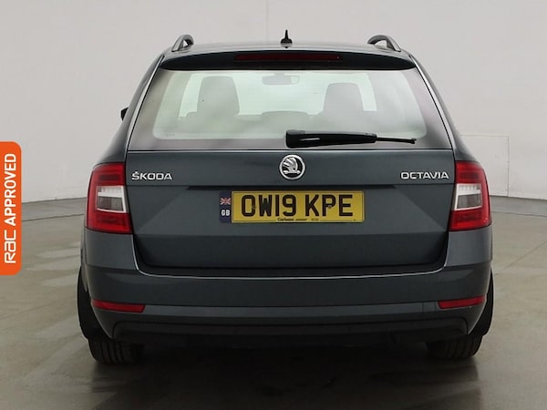 Used Skoda Octavia 2019 for sale - 76257009: Photo 8