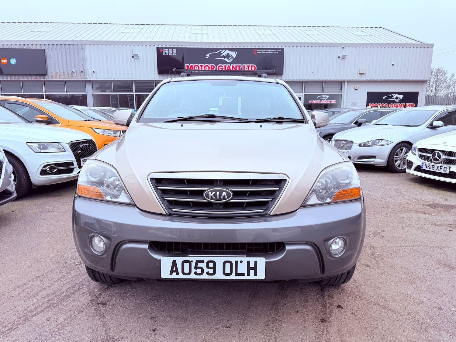 Used Kia Sorento 2009 for sale - 77799370: Photo 3