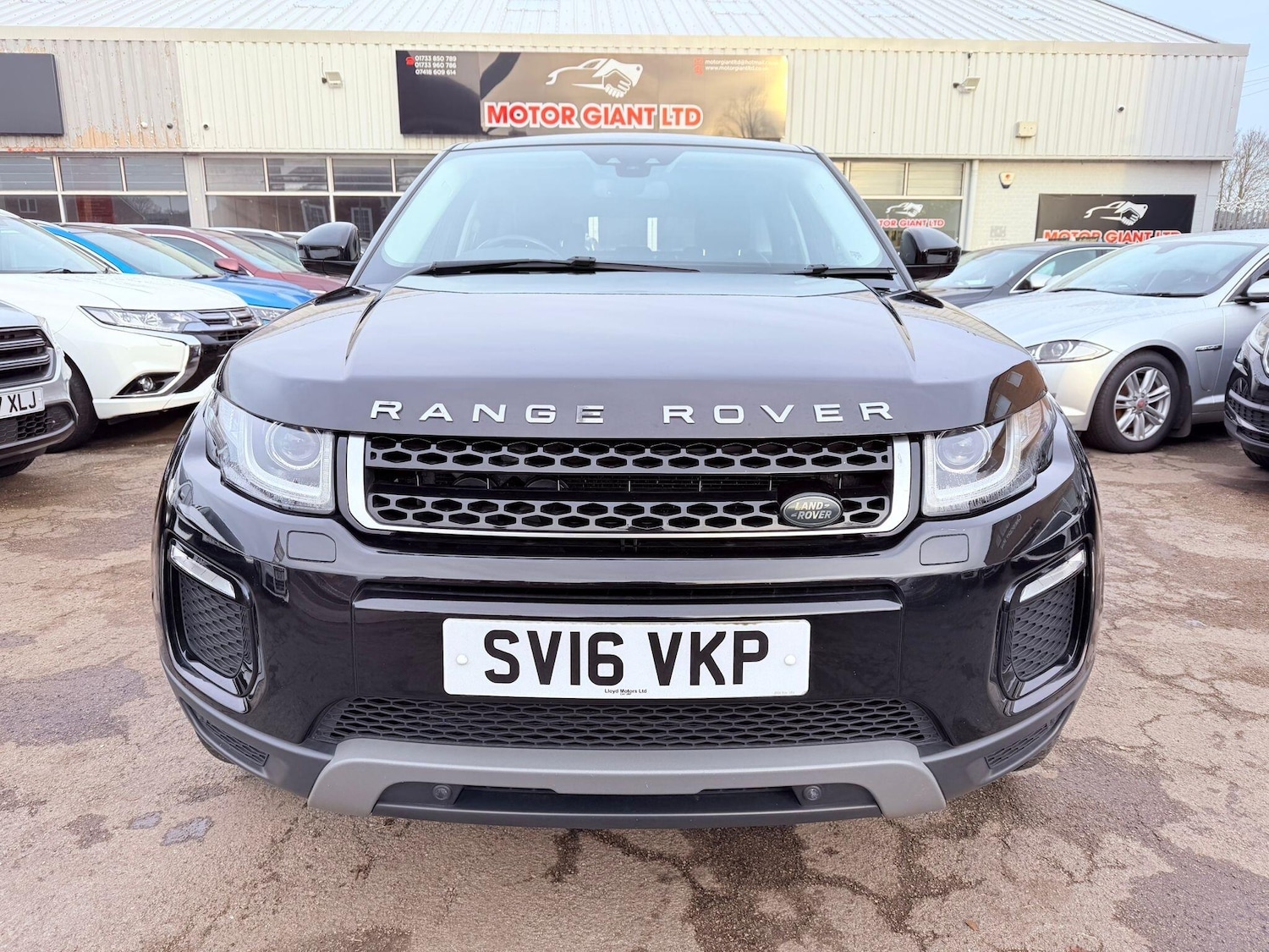 Used Land Rover Range Rover Evoque 2016 for sale - 77215093: Photo 11