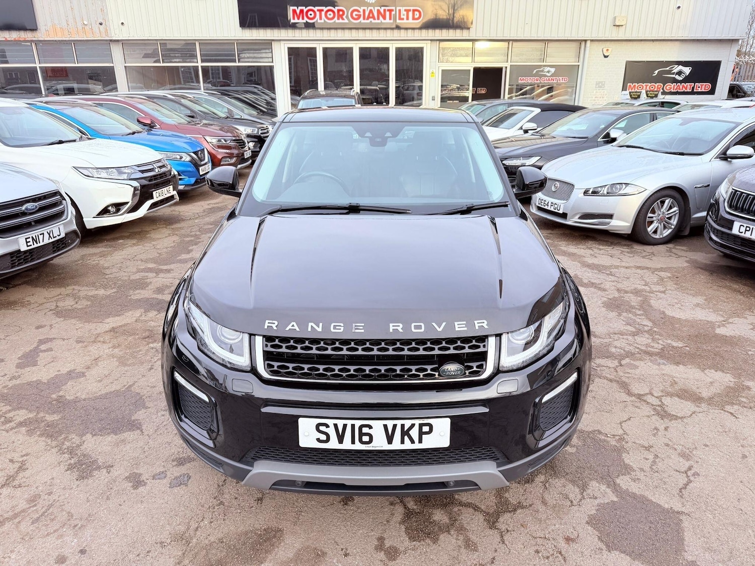 Used Land Rover Range Rover Evoque 2016 for sale - 77215093: Photo 12