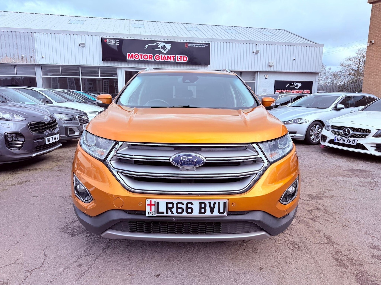 Used Ford Edge 2016 for sale - 77709857: Photo 3