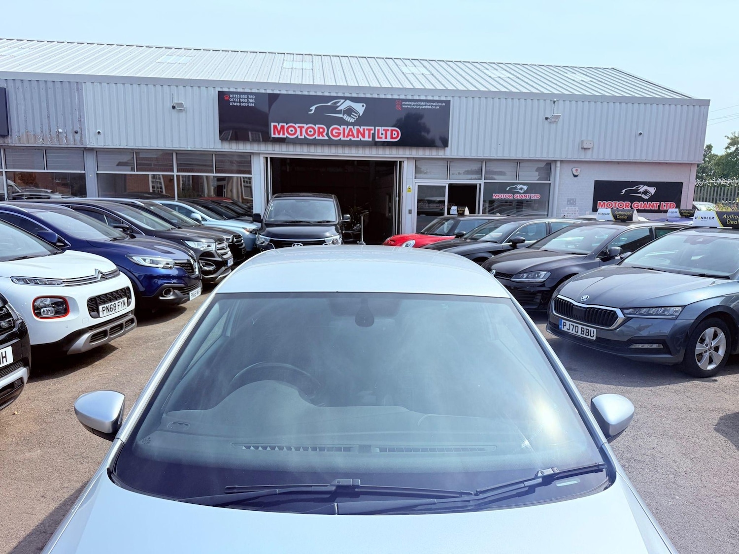 Used Volkswagen Polo for sale - 76996625: Photo 19