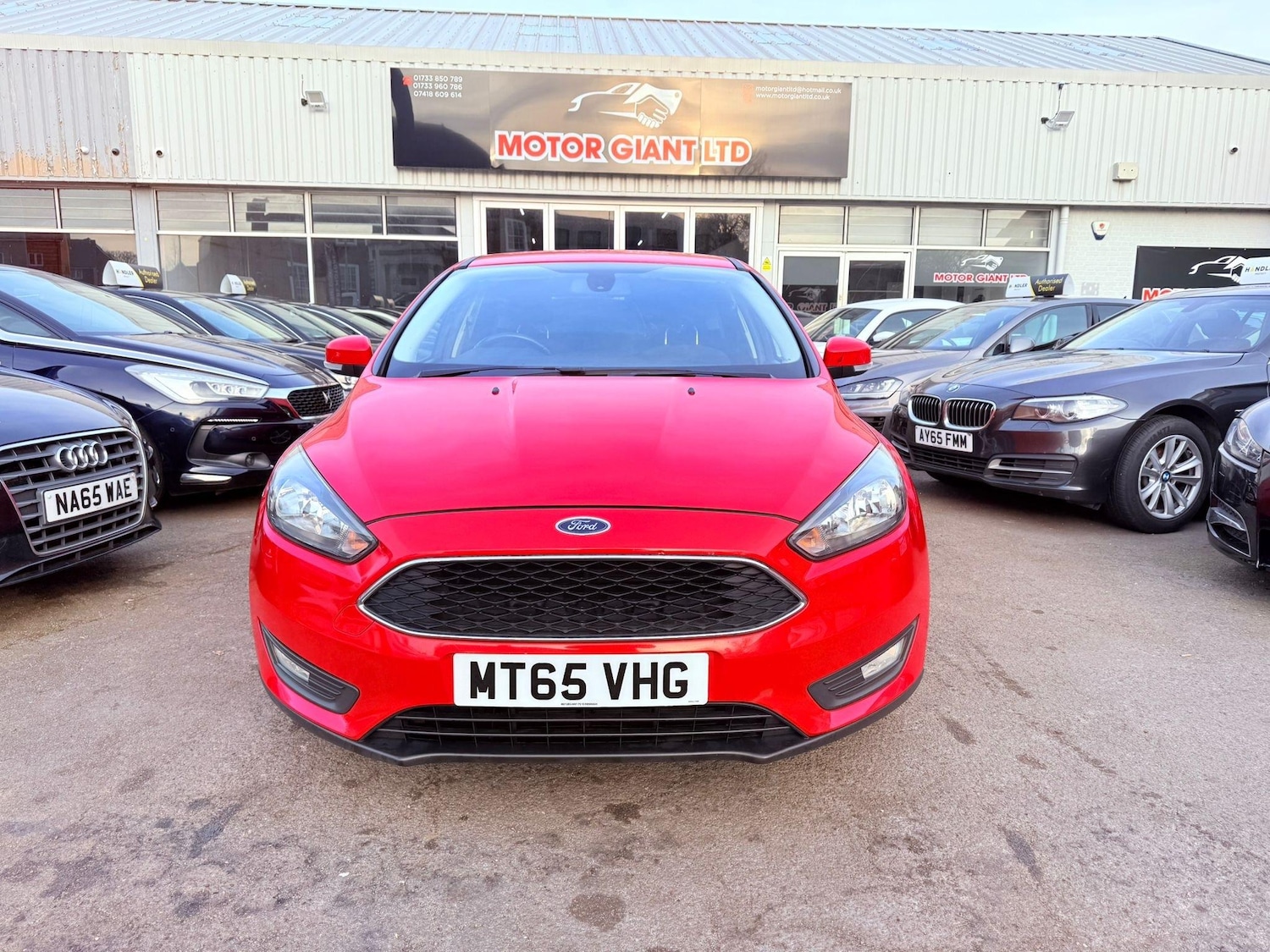 Used Ford Focus 2015 for sale - 76432368: Photo 3