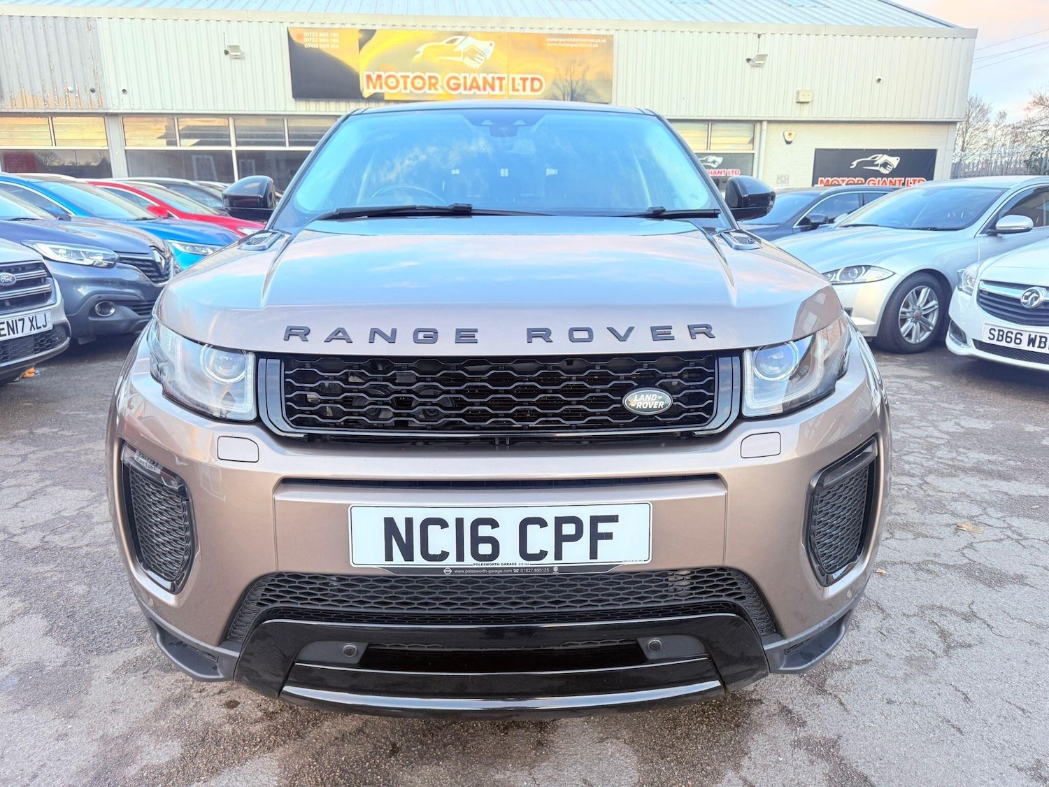 Used Land Rover Range Rover Evoque 2016 for sale - 76850060: Photo 11