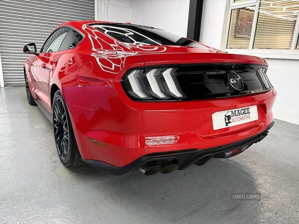 Used Ford Mustang 2019 for sale - 77469583: Photo 14