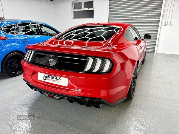 Used Ford Mustang 2019 for sale - 77469583: Photo 19