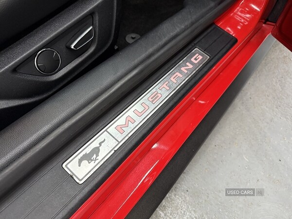 Used Ford Mustang 2019 for sale - 77469583: Photo 23