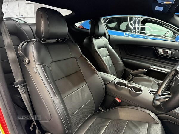 Used Ford Mustang 2019 for sale - 77469583: Photo 24