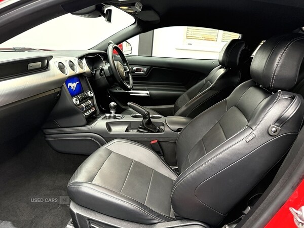 Used Ford Mustang 2019 for sale - 77469583: Photo 28