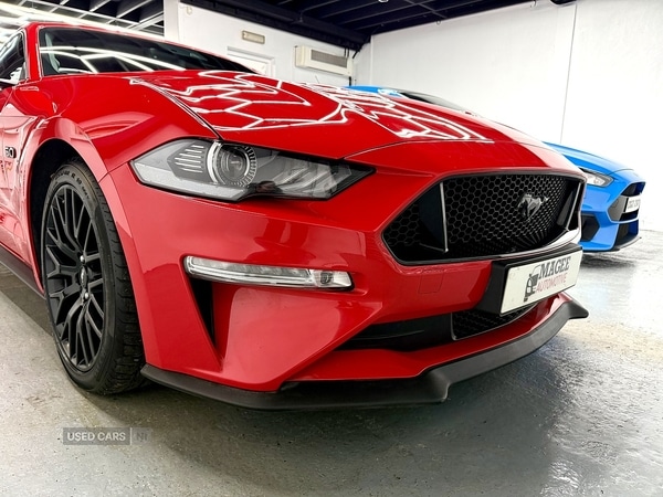 Used Ford Mustang 2019 for sale - 77469583: Photo 3