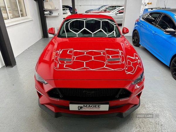 Used Ford Mustang 2019 for sale - 77469583: Photo 5
