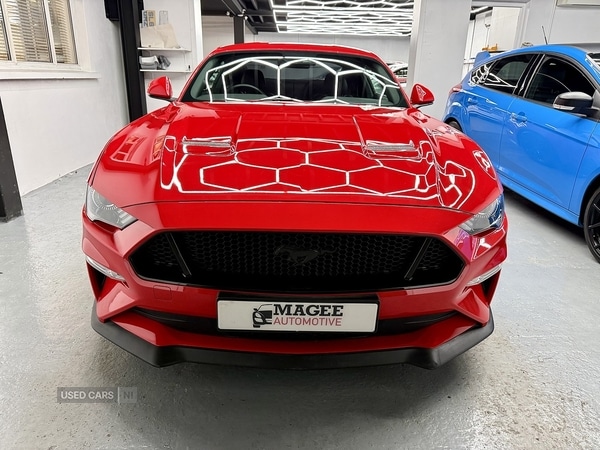Used Ford Mustang 2019 for sale - 77469583: Photo 6