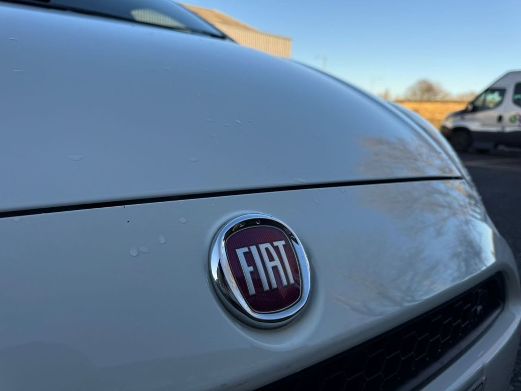 Used Fiat Punto 2015 for sale - 76710852: Photo 33