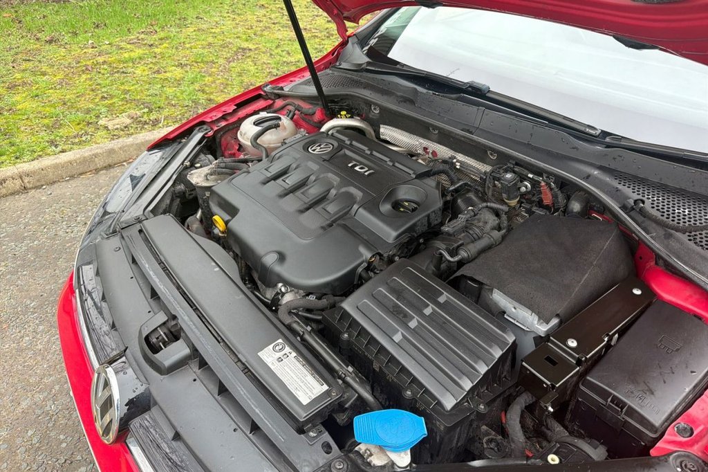 Used Volkswagen Golf 2016 for sale - 77609272: Photo 19