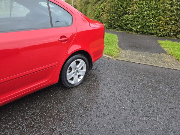 Used Skoda Octavia 2012 for sale - 76123454: Photo 13