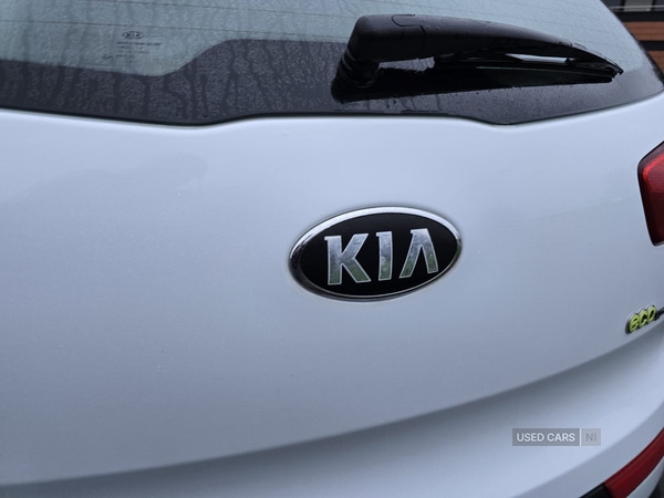 Used Kia Sportage 2013 for sale - 76743919: Photo 14