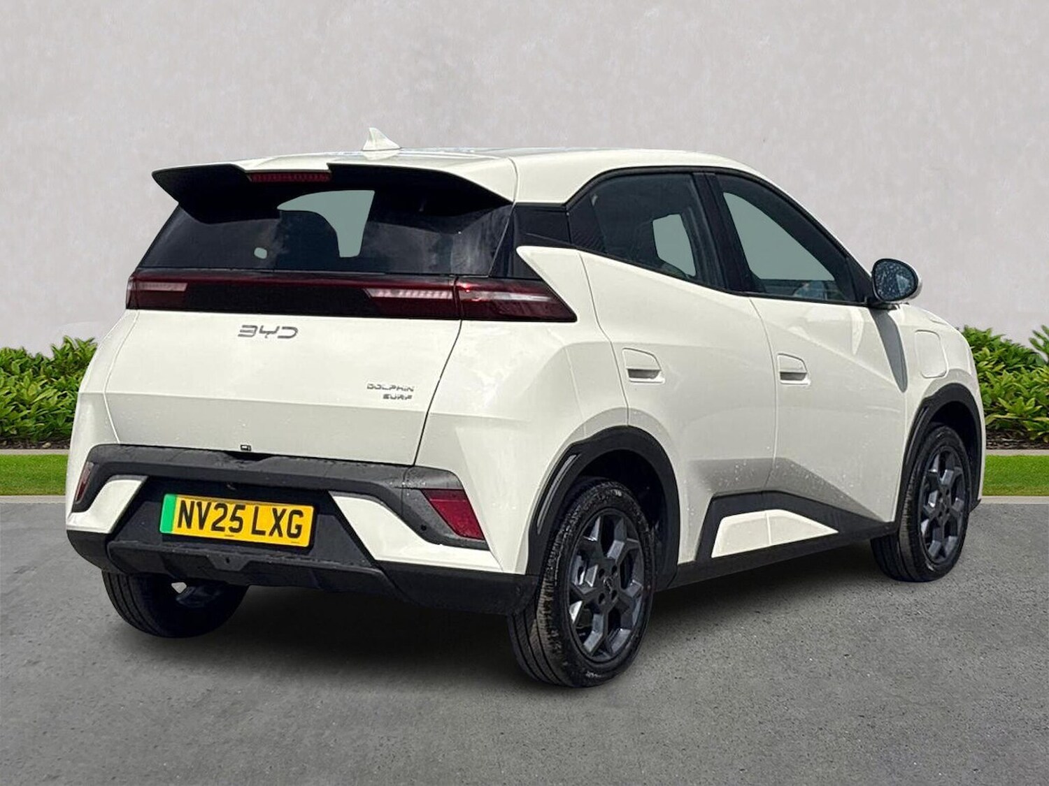 Used BYD Dolphin 2025 for sale - 77489291: Photo 18