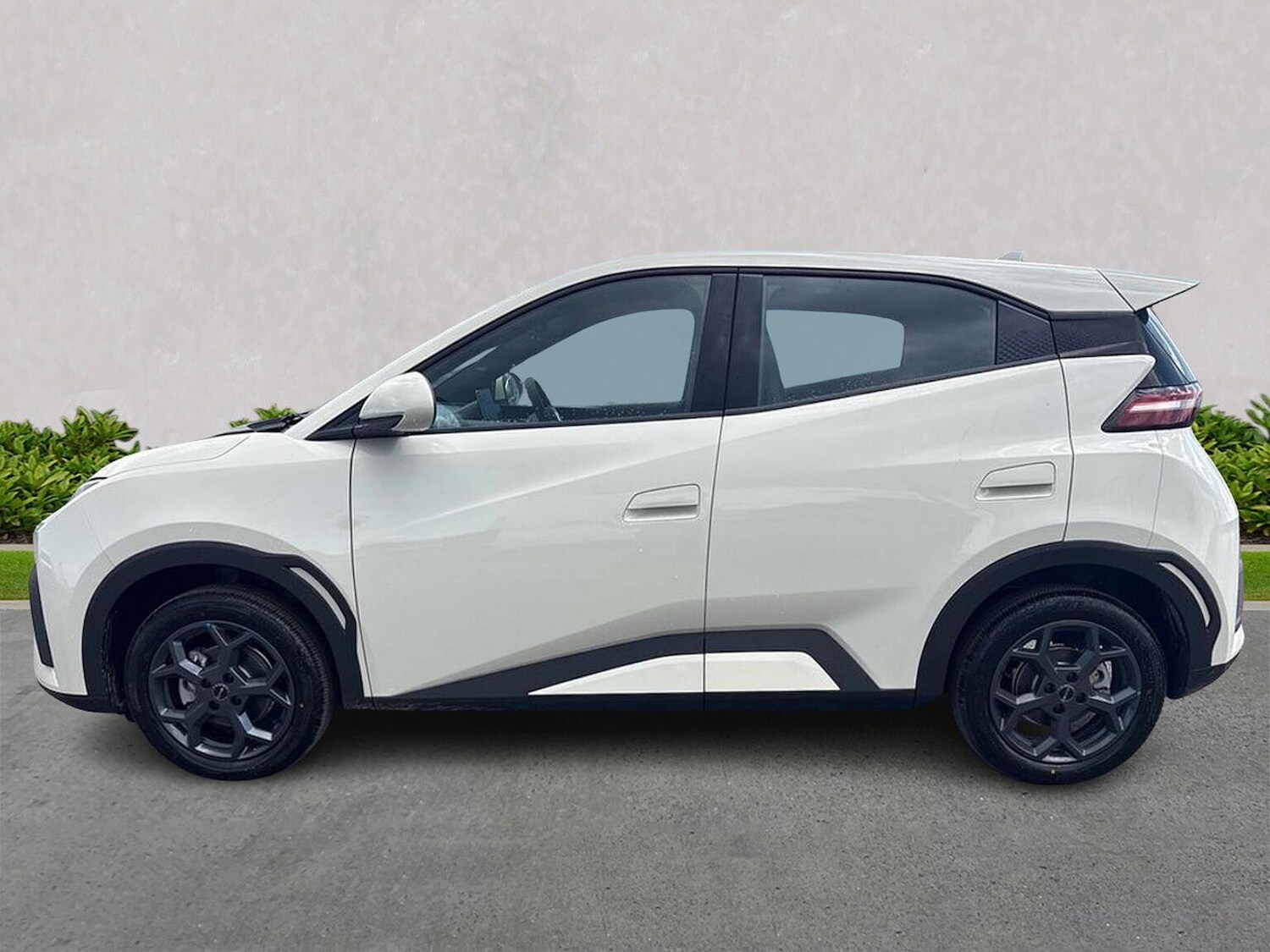 Used BYD Dolphin 2025 for sale - 77489291: Photo 19