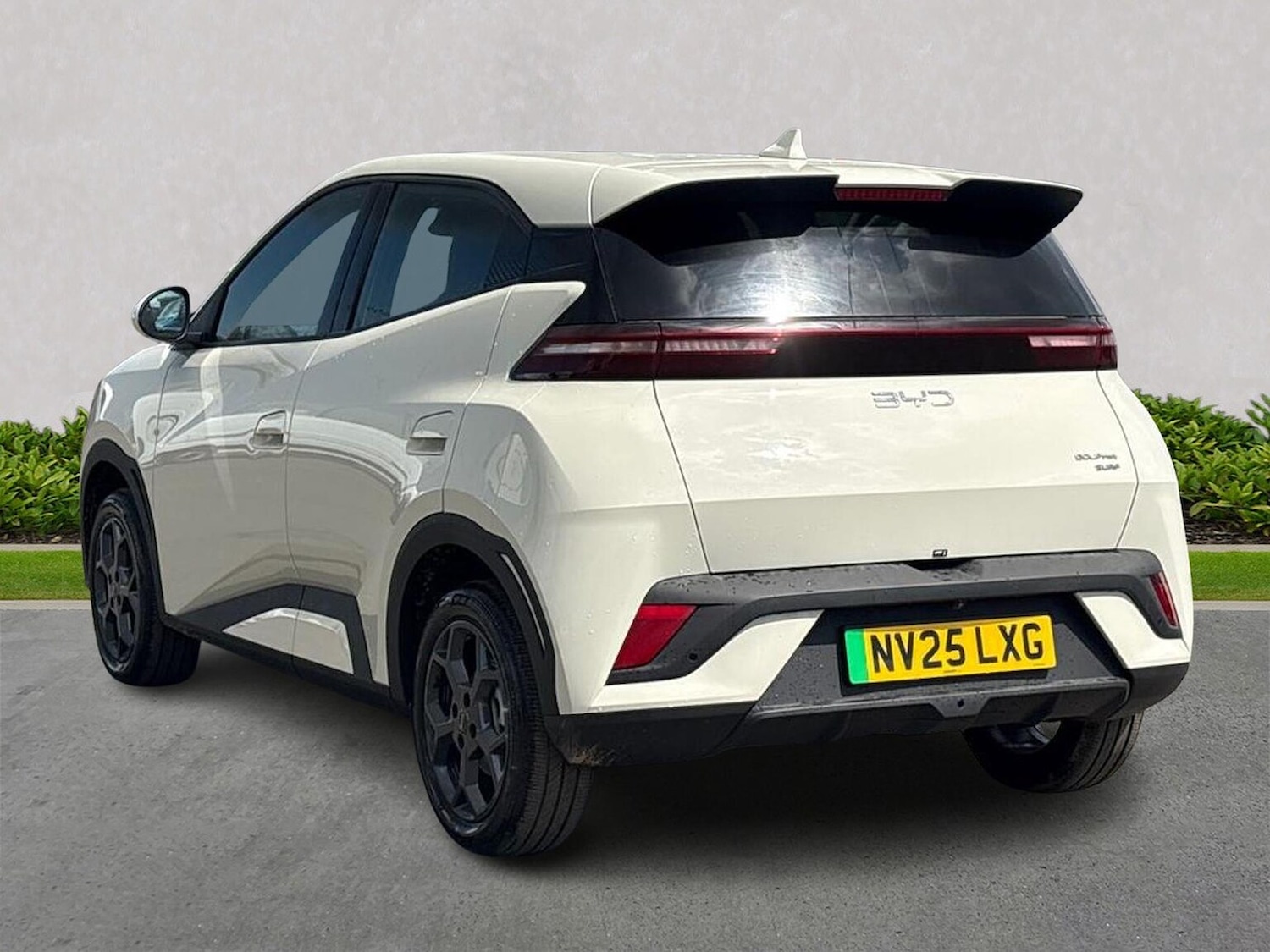 Used BYD Dolphin 2025 for sale - 77489291: Photo 2