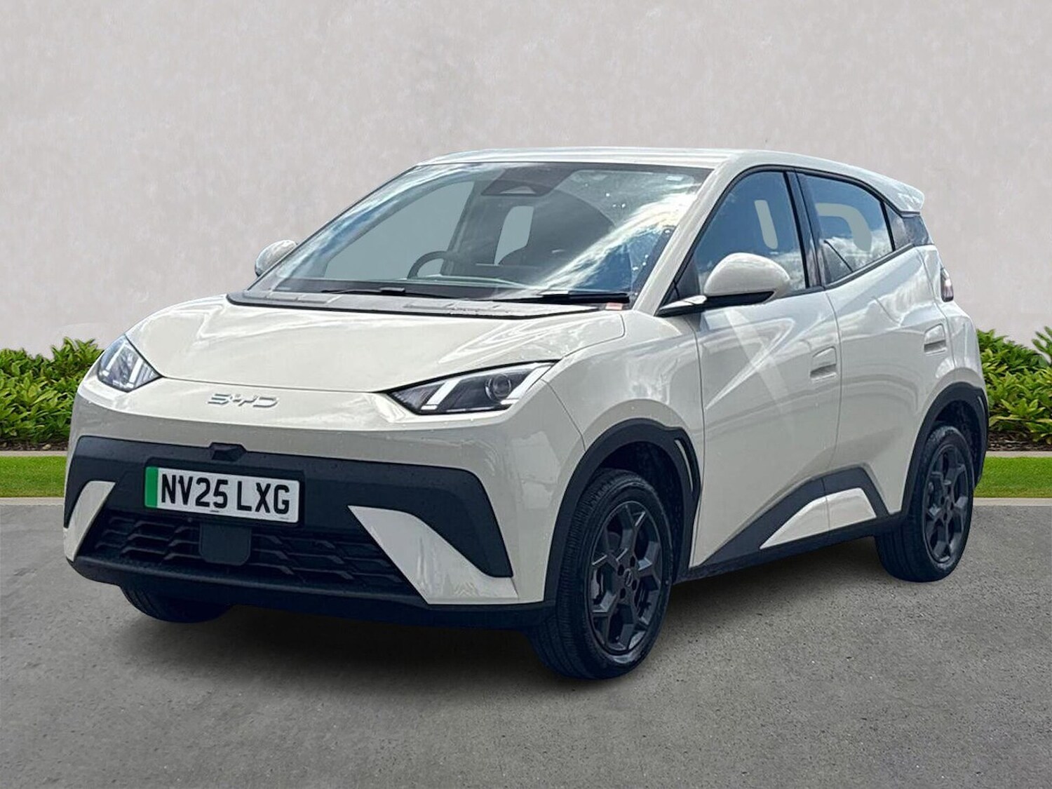 Used BYD Dolphin 2025 for sale - 77489291: Photo 20