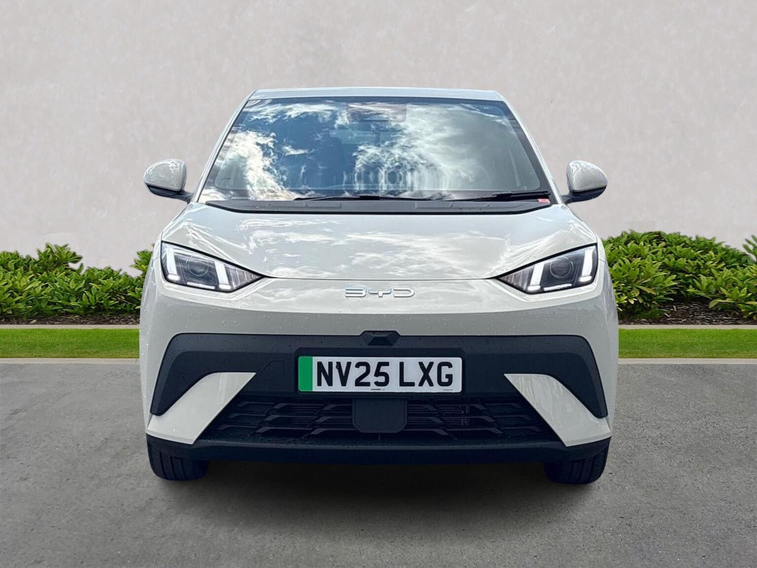 Used BYD Dolphin 2025 for sale - 77489291: Photo 5