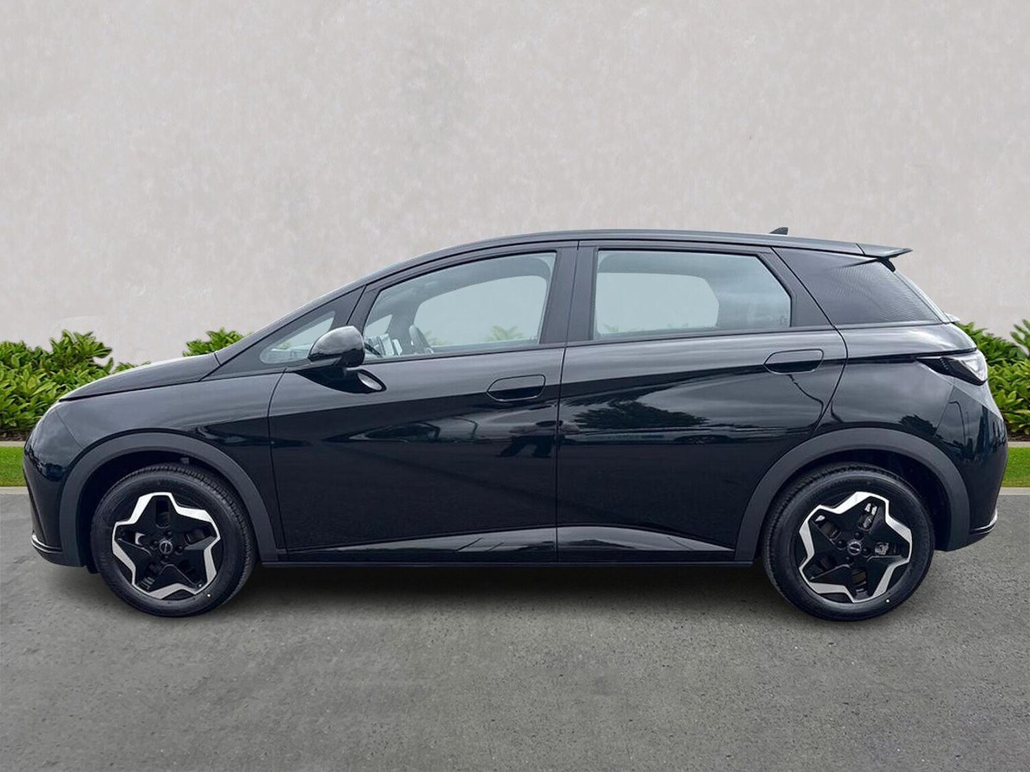 Used BYD Dolphin 2025 for sale - 77489218: Photo 19