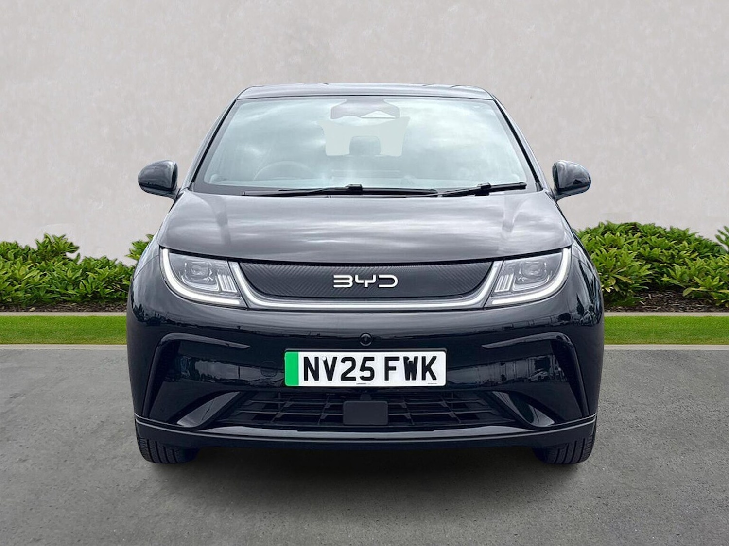 Used BYD Dolphin 2025 for sale - 77489218: Photo 5