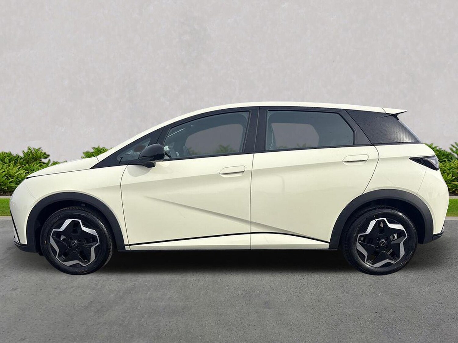 Used BYD Dolphin 2025 for sale - 77489224: Photo 19