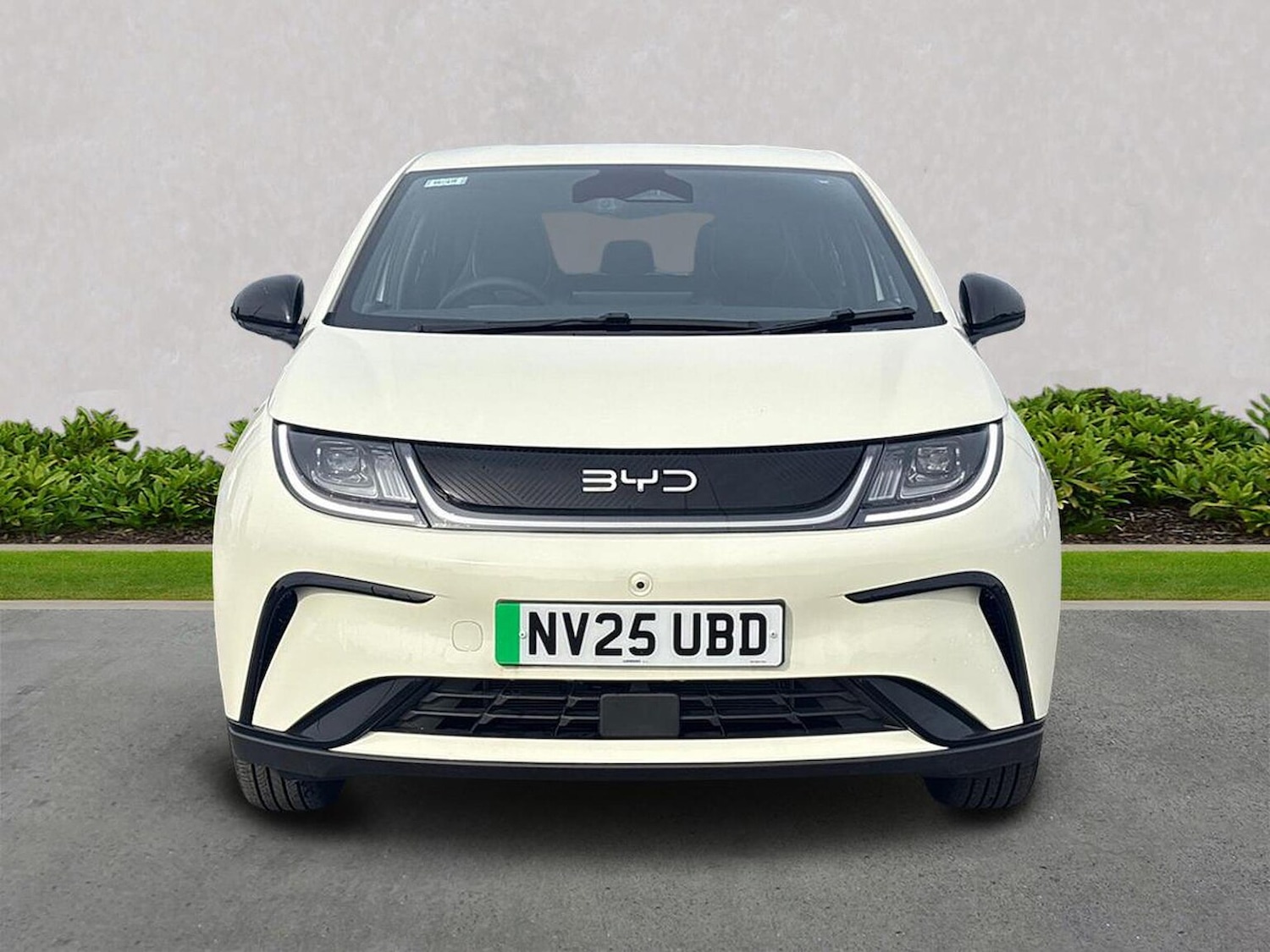 Used BYD Dolphin 2025 for sale - 77489224: Photo 5