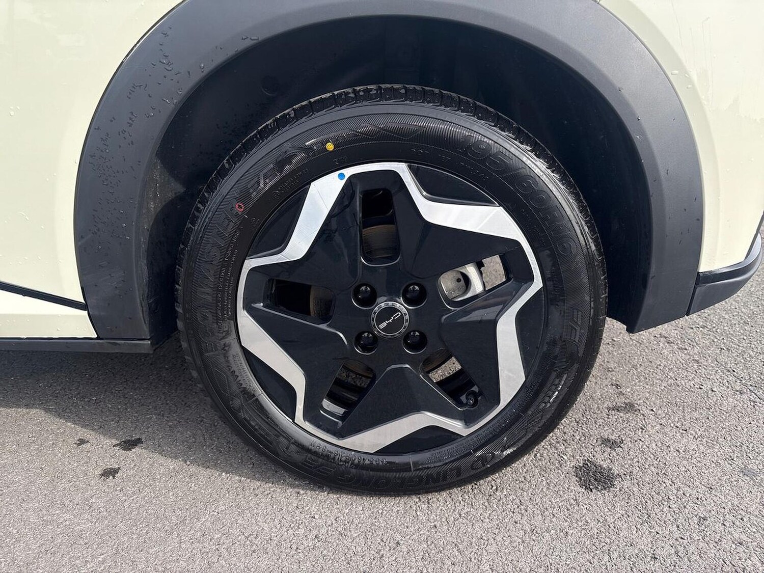 Used BYD Dolphin 2025 for sale - 77489224: Photo 6