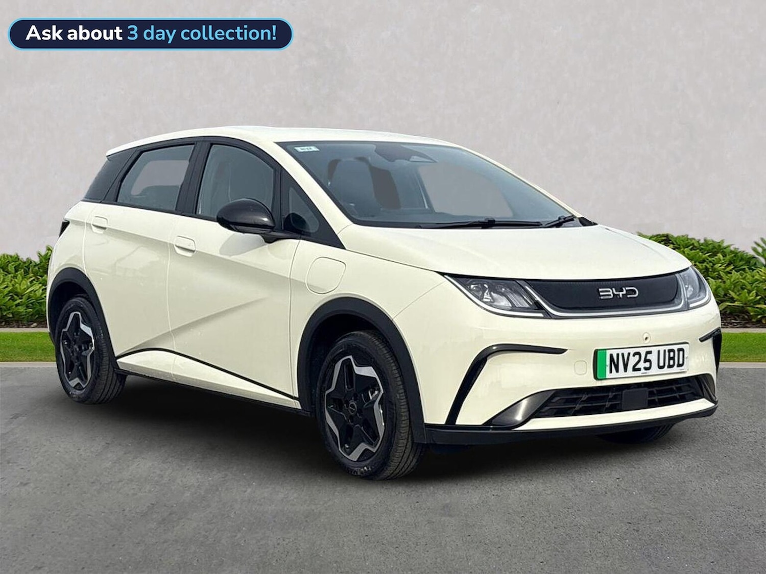 Used BYD Dolphin 2025 for sale - 76134274: Photo 1