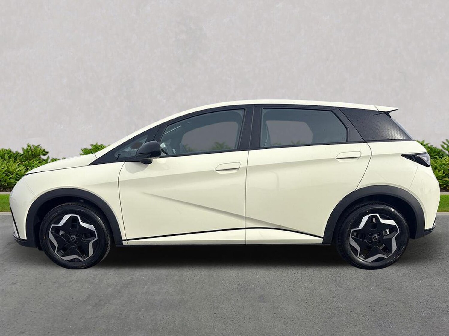 Used BYD Dolphin 2025 for sale - 76134274: Photo 19