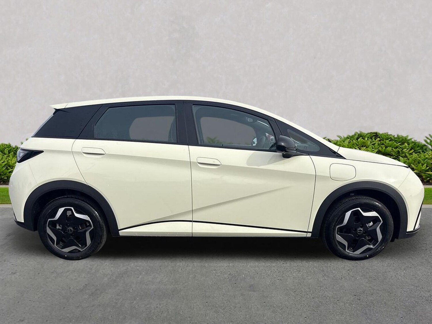 Used BYD Dolphin 2025 for sale - 76134274: Photo 3