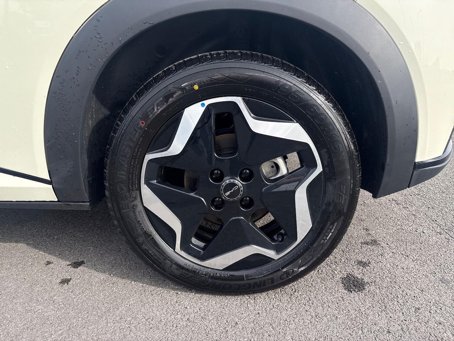 Used BYD Dolphin 2025 for sale - 76134274: Photo 6