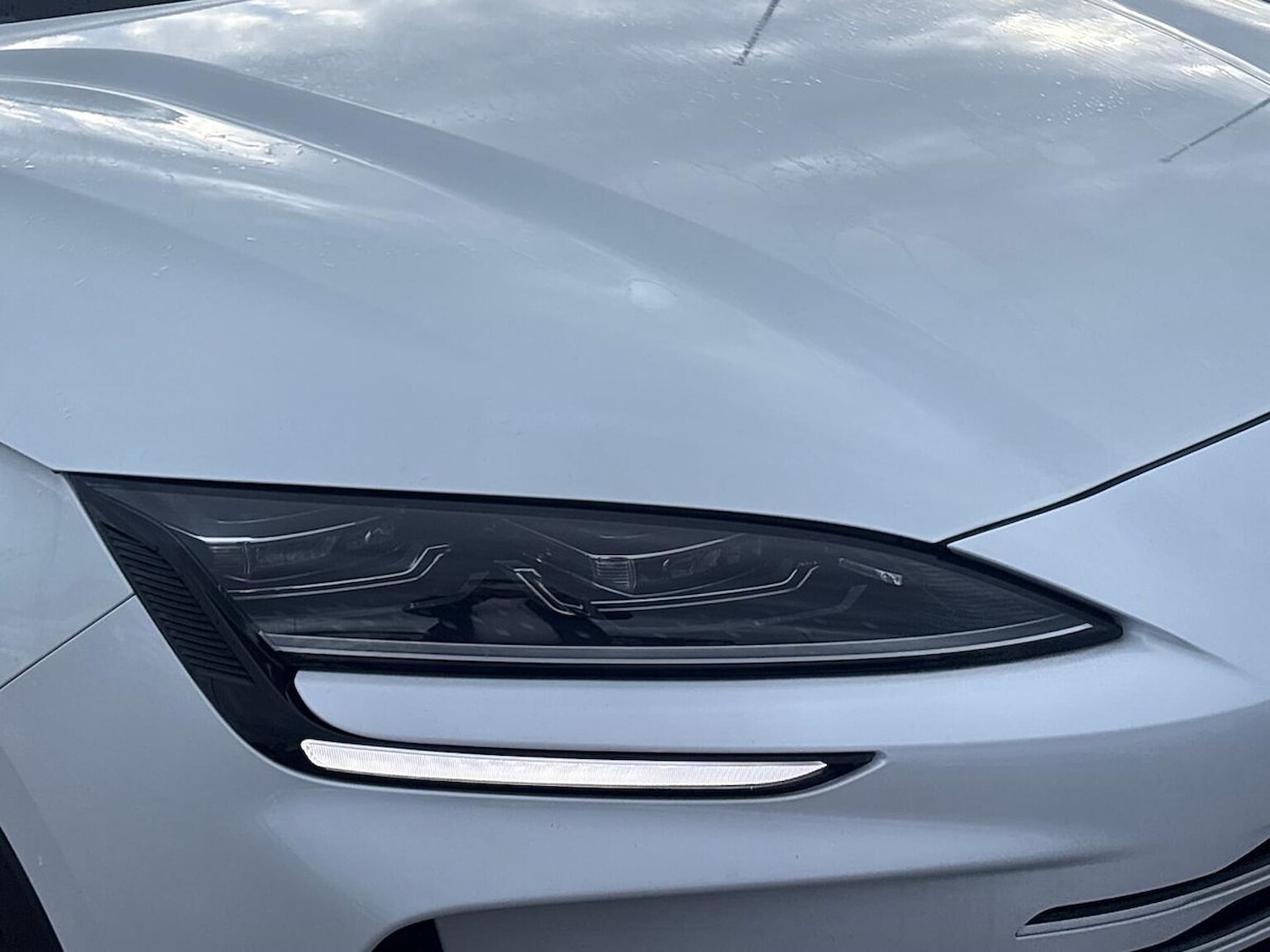 Used BYD Seal U 2025 for sale - 76497261: Photo 34