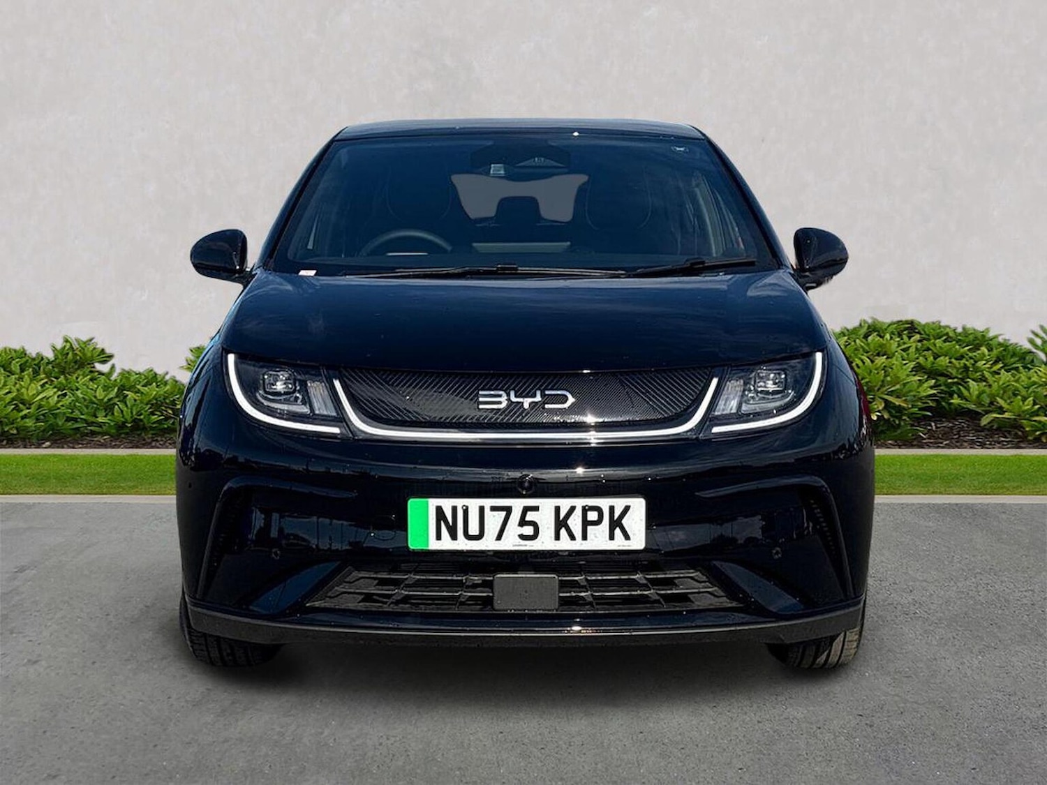 Used BYD Dolphin 2025 for sale - 77489193: Photo 5