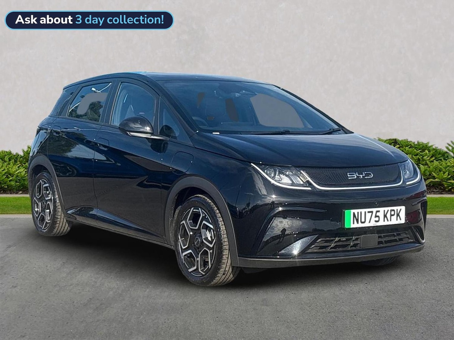 Used BYD Dolphin 2025 for sale - 76206020: Photo 1