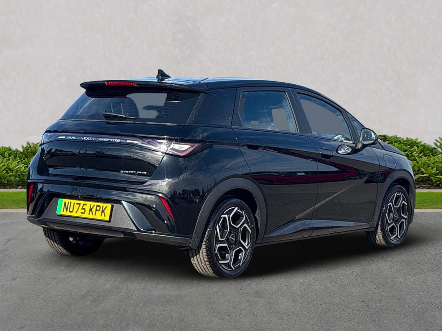 Used BYD Dolphin 2025 for sale - 76206020: Photo 18