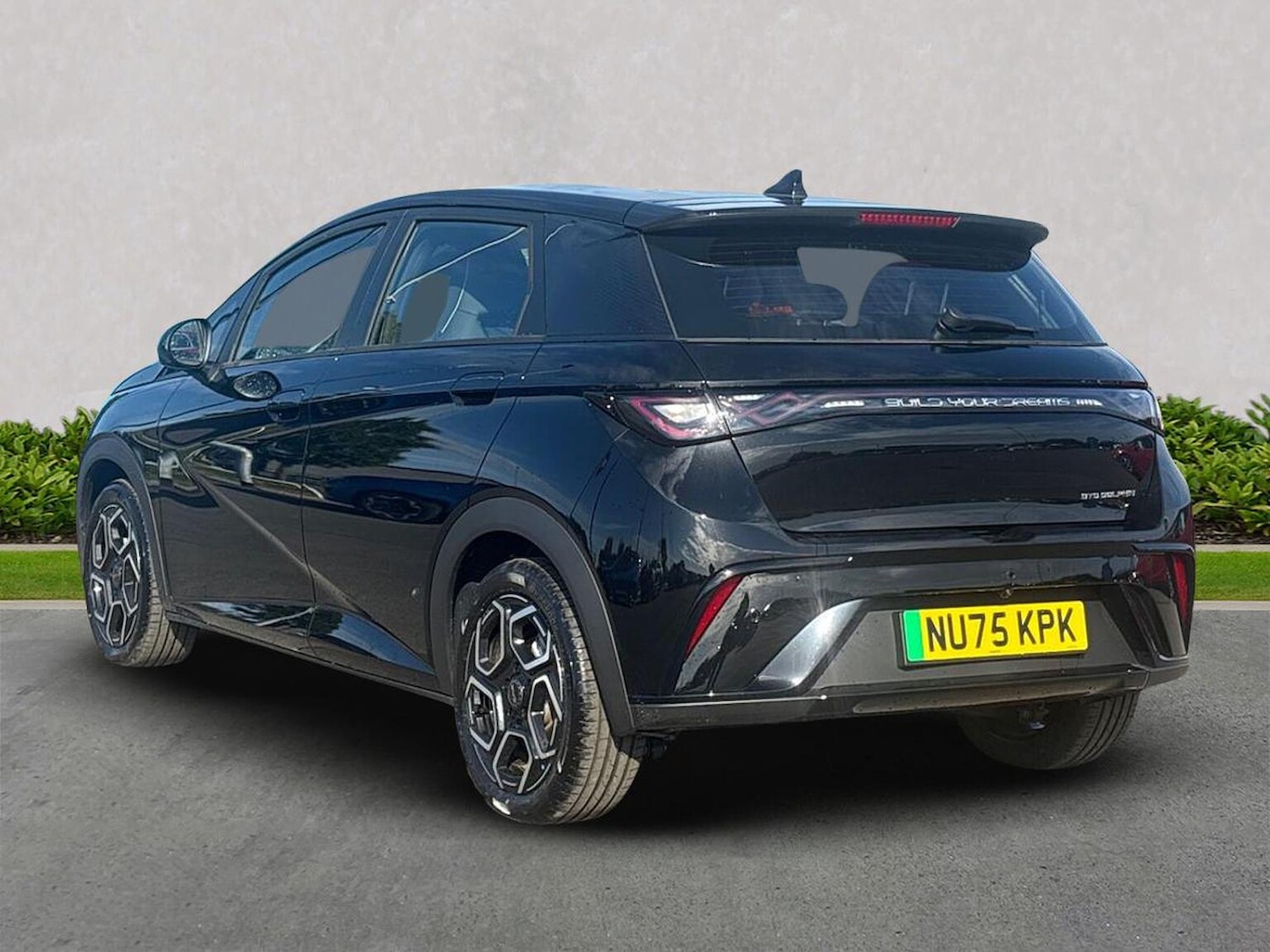 Used BYD Dolphin 2025 for sale - 76206020: Photo 2