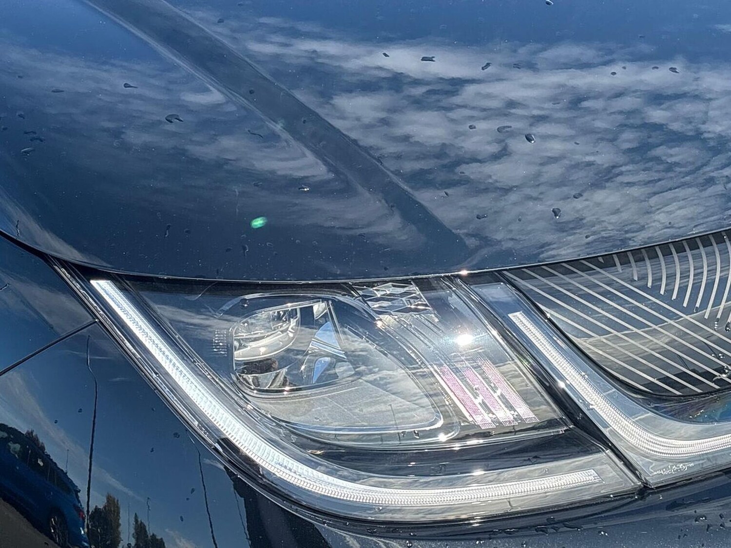 Used BYD Dolphin 2025 for sale - 76206020: Photo 34