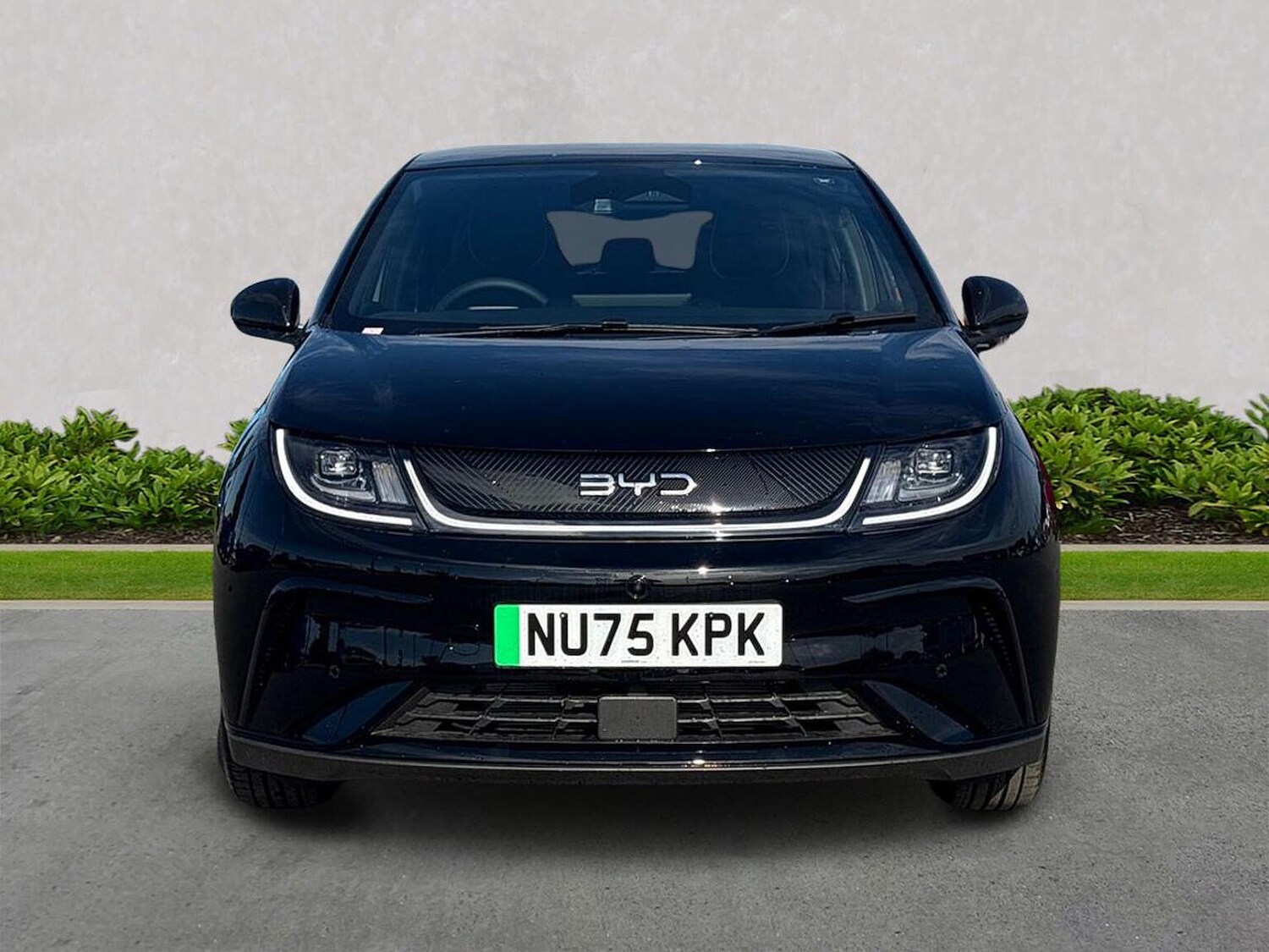 Used BYD Dolphin 2025 for sale - 76206020: Photo 5