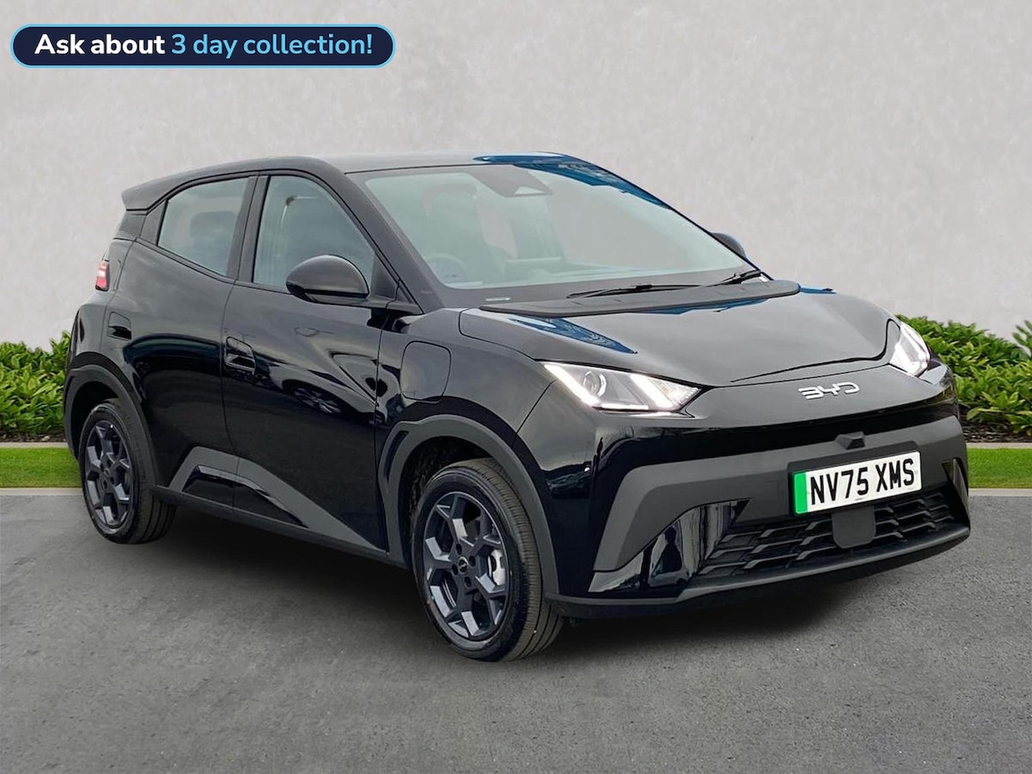 Used BYD Dolphin 2026 for sale - 77888585: Photo 1