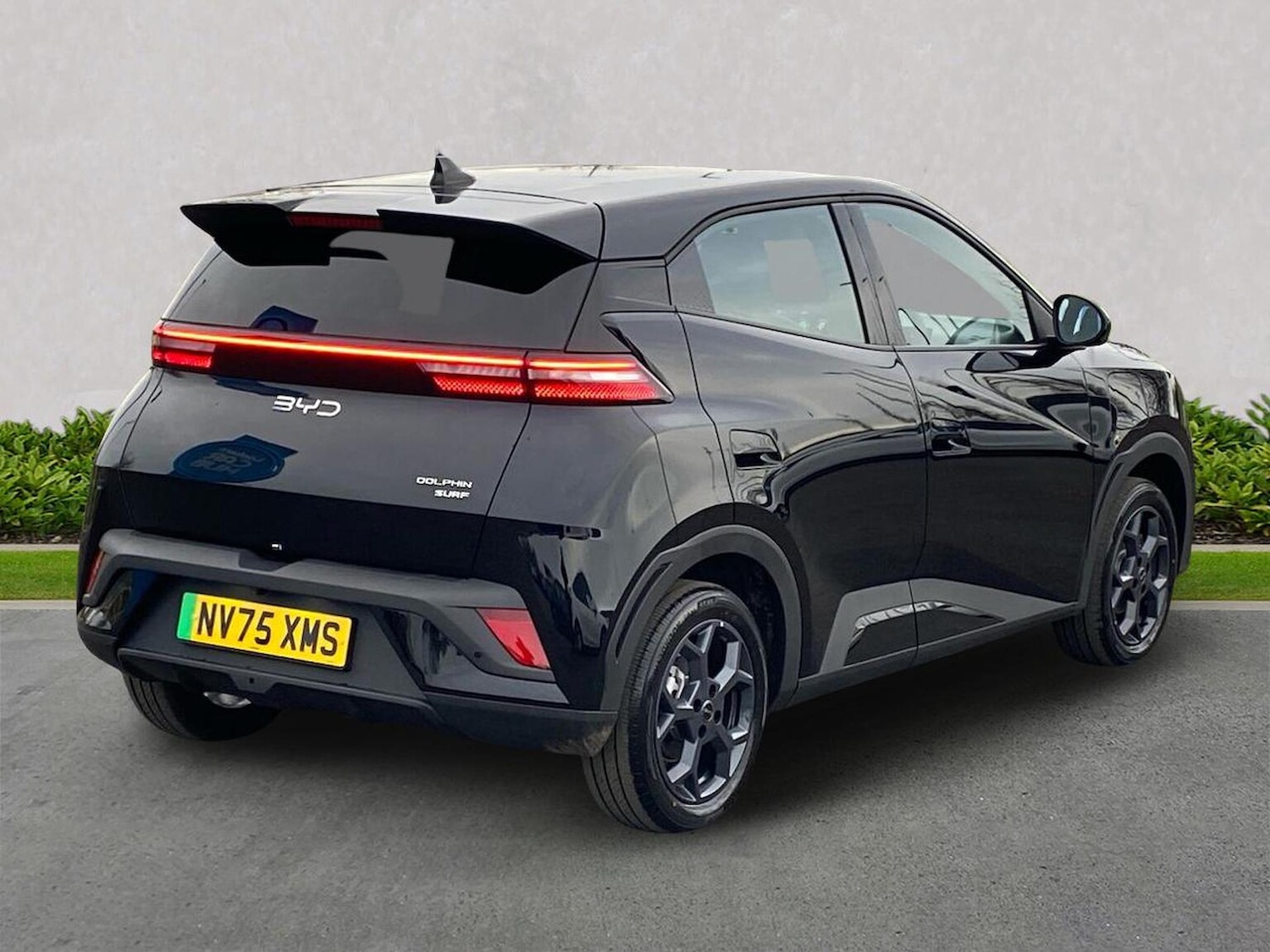 Used BYD Dolphin 2026 for sale - 77888585: Photo 18